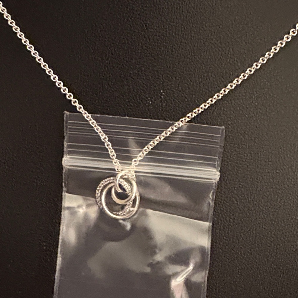 Pandora Family Always Encircled Pendant Necklace - Picture 3 of 4